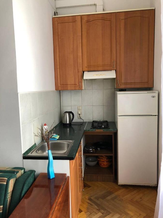 Apartment Karpintsa Lviv Exterior photo